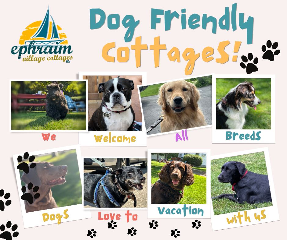 This image portrays One Bedroom by Ephraim Village Cottages.