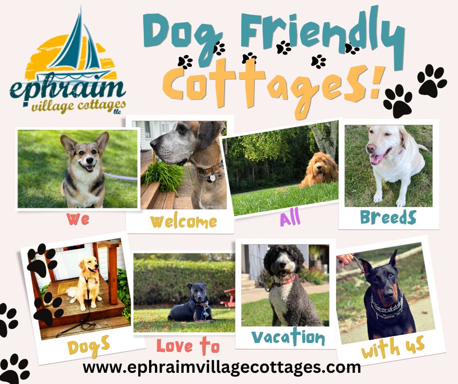 This image portrays One Bedroom by Ephraim Village Cottages.