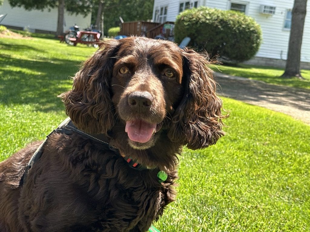 This image portrays ICU2 by Ephraim Village Cottages.