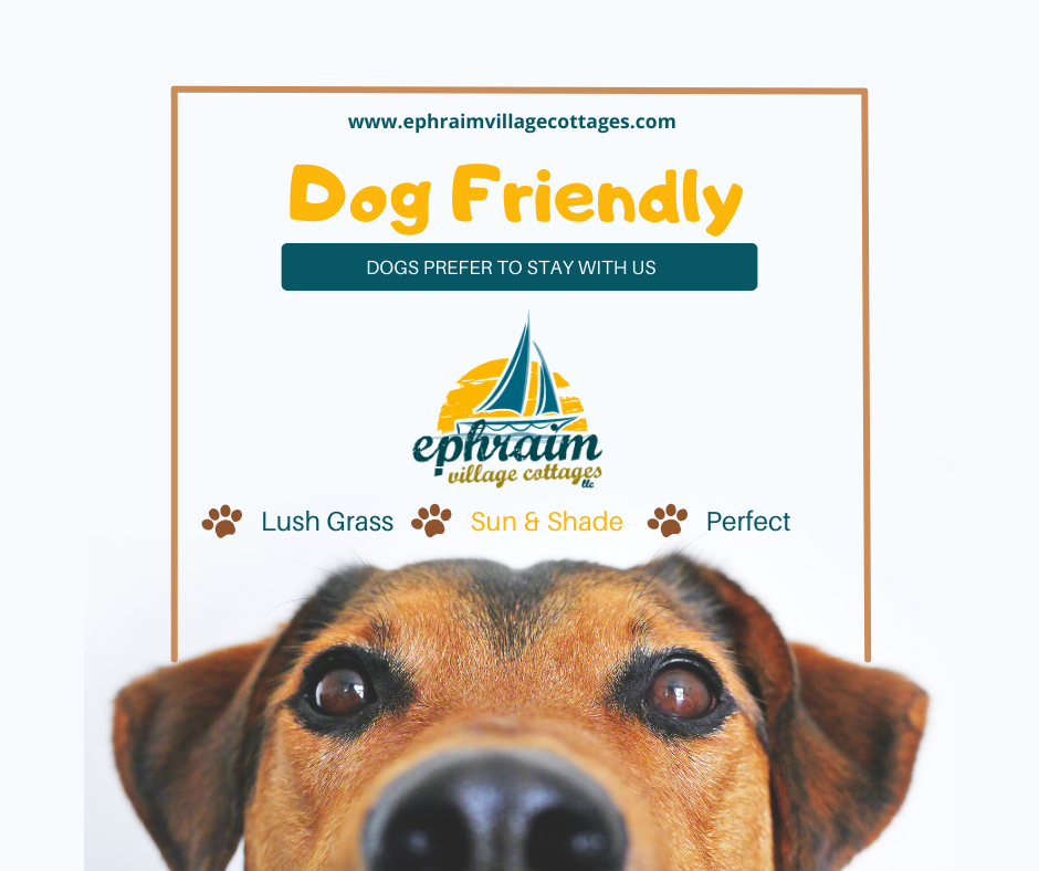 This image portrays Dog Lodging Policy by Ephraim Village Cottages.
