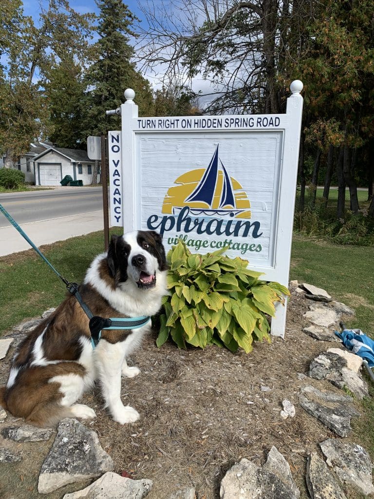 This image portrays Dog Lodging Policy by Ephraim Village Cottages.