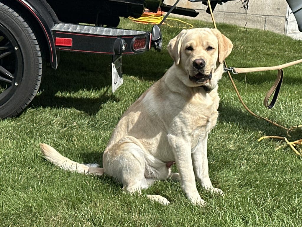 This image is by Ephraim Village Cottages.